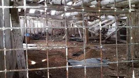 Rural Remains  - 20150524_152911.jpg