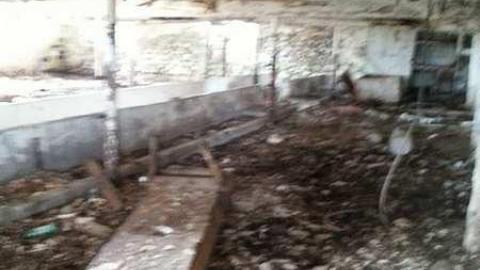 Rural Remains  - 20150524_153149.jpg