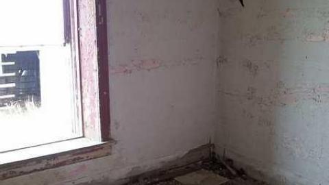 Rural Remains  - 20150524_155353.jpg