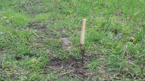 2014  - Josephine-Ghost-Town40.jpg