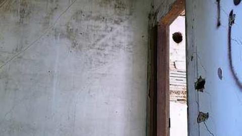 July '15 - Norton-Line31.jpg