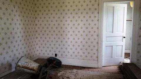 July '15 - DSC02877.jpg