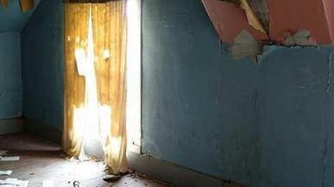 July '15 - DSC02884.jpg