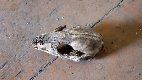 July '15 - DSC02894.jpg