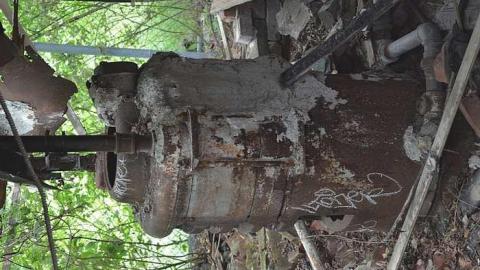 July 2015 - Lemieux-Island73.jpg