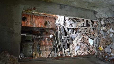 July 2015 - Lemieux-Island131.jpg