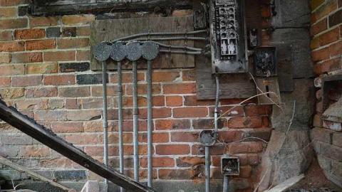 July 2015 - Lemieux-Island132.jpg