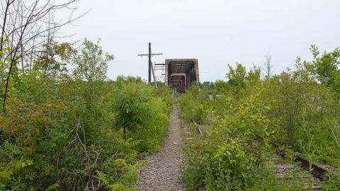 July 2015 - Prince-of-Wales-Bridge18.jpg
