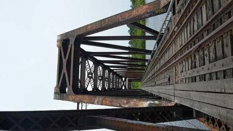 July 2015 - Prince-of-Wales-Bridge80.jpg