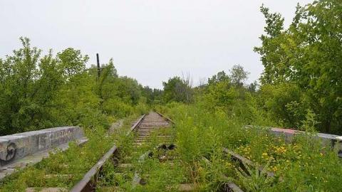 July 2015 - Prince-of-Wales-Bridge20.jpg