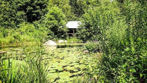 Cullen 2015 - Cullen-Gardens32.jpg