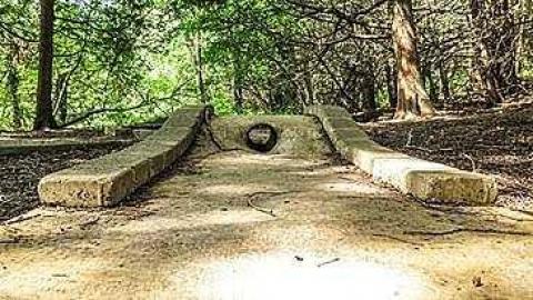 Cullen 2015 - Cullen-Gardens324.jpg