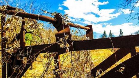 Photo from 2015 Visit