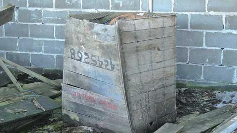 Photo from County Rd. 30