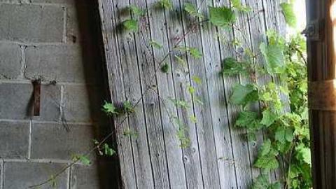 Photo from County Rd. 30