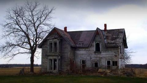 Palmyra Gem - DSCF7184b.jpg