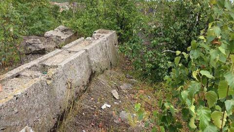 Photo from 7/20/15. 1