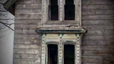 Palmyra Gem - DSCF7185.jpg