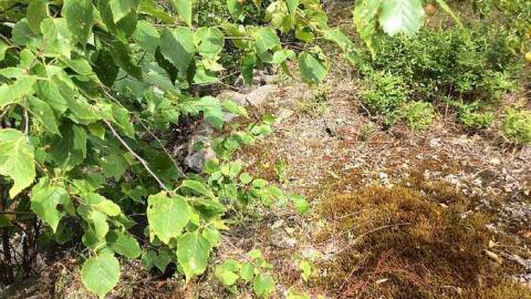 7/20/15. 1 - Ye-Ol-Ghost-Town15.jpg