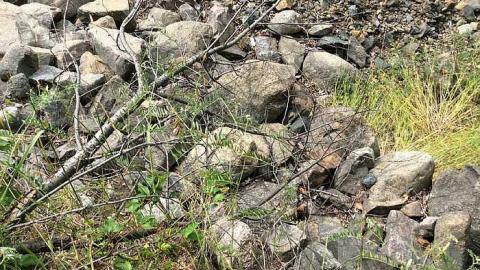 Photo from 7/20/15. 1