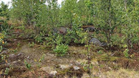 Photo from 7/20/15. 1