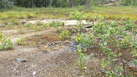 7/20/15. 1 - Ye-Ol-Ghost-Town27.jpg