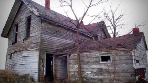 Palmyra Gem - DSCF7194.jpg