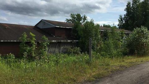 Brent 2015 - Algonquin-Brent-Access11.jpg