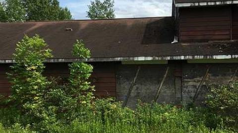 Photo from Brent 2015