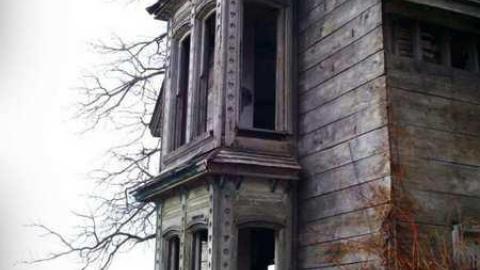 Palmyra Gem - DSCF7207.jpg