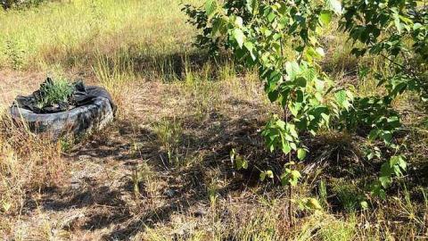 7/19/15 - Sudbury-Zaitz-Raceway-Gallery4.jpg