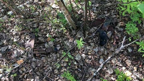 7/19/15 - Sudbury-Zaitz-Raceway-Gallery5.jpg