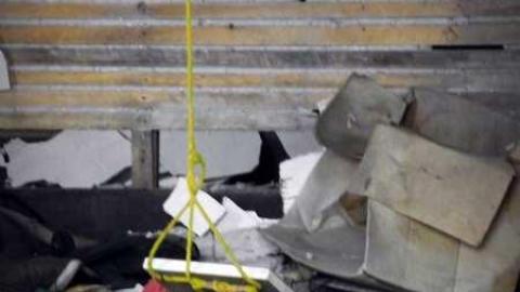 Palmyra Gem - DSCF7209.jpg