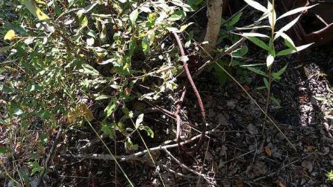 7/19/15 - Sudbury-Zaitz-Raceway-Gallery16.jpg