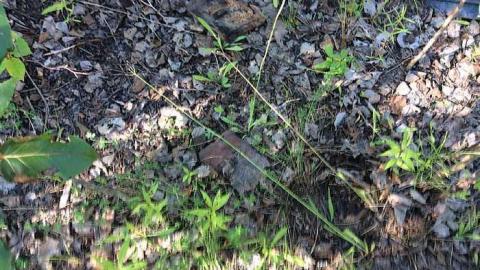 7/19/15 - Sudbury-Zaitz-Raceway-Gallery24.jpg