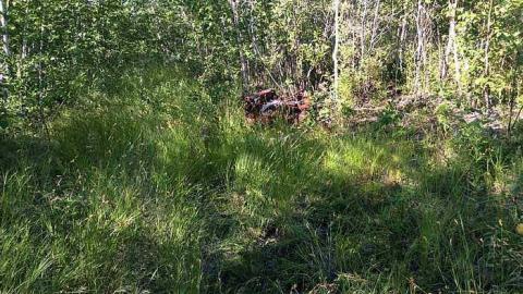 Sudbury Zaitz Raceway photo 3