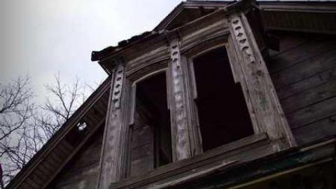 Palmyra Gem - DSCF7214.jpg