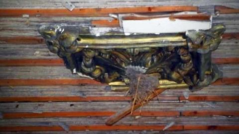 Palmyra Gem - DSCF7218.jpg