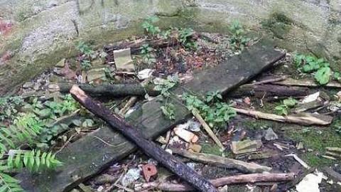 Beauty Falls - 20141013_164139.jpg