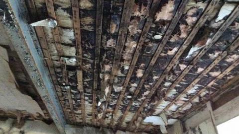 7/21/15 - IMG_0871.jpg