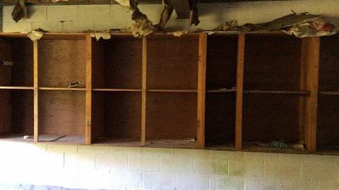 7/21/15 - IMG_0898.jpg