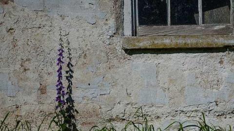 Photo from Keep Out!