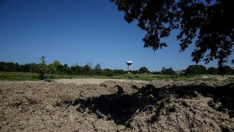 Excessive Overgrowth - Empty-House-Nobleton47.jpg