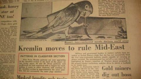 Highway 3 Magazine Shack photo 2