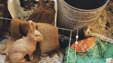 Photo from Brace yourself!