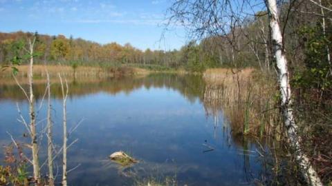 The Calcium Pits photo 3