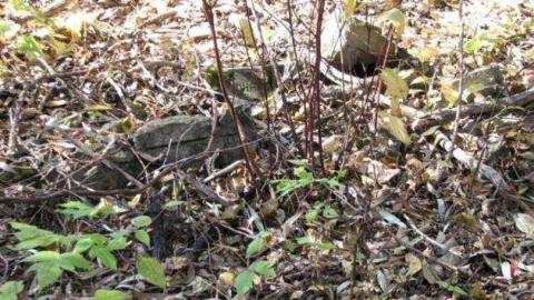 Marl Ponds - The-Calcium-Pits3.jpg