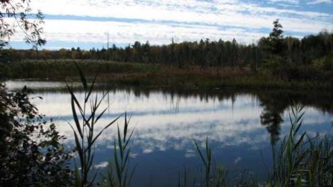 Marl Ponds - The-Calcium-Pits4.jpg