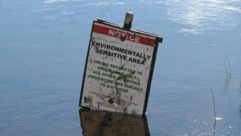 The Calcium Pits photo 5