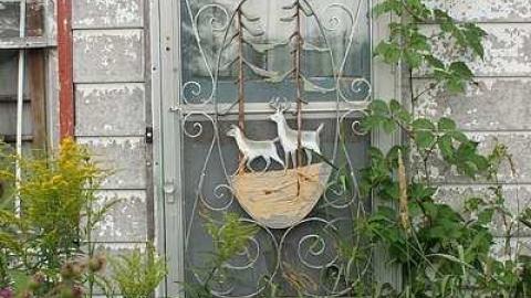 July 2015 - Deer-on-the-Door7.jpg